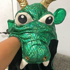 Dragon Costume